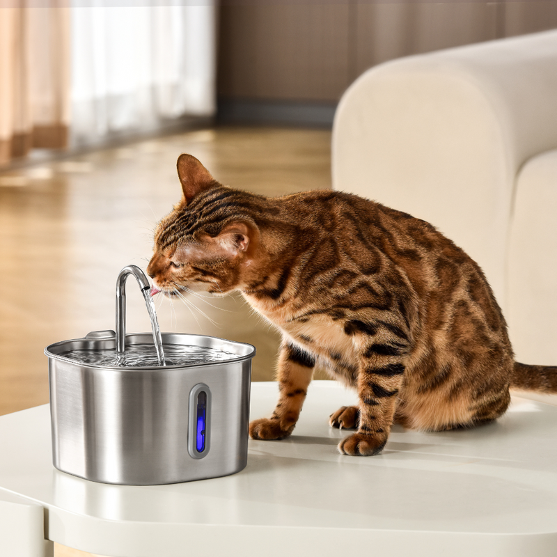CleanSip™ - Cat Water Station