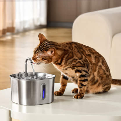 CleanSip™ - Cat Water Station