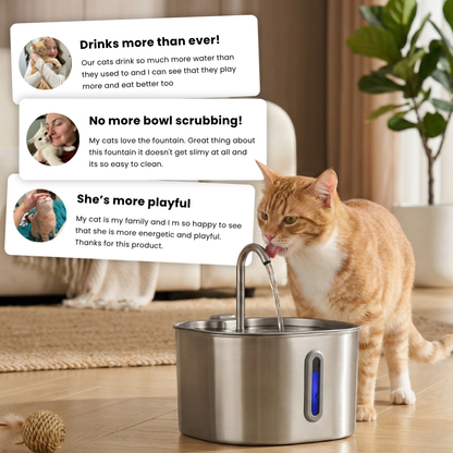 CleanSip™ - Cat Water Station